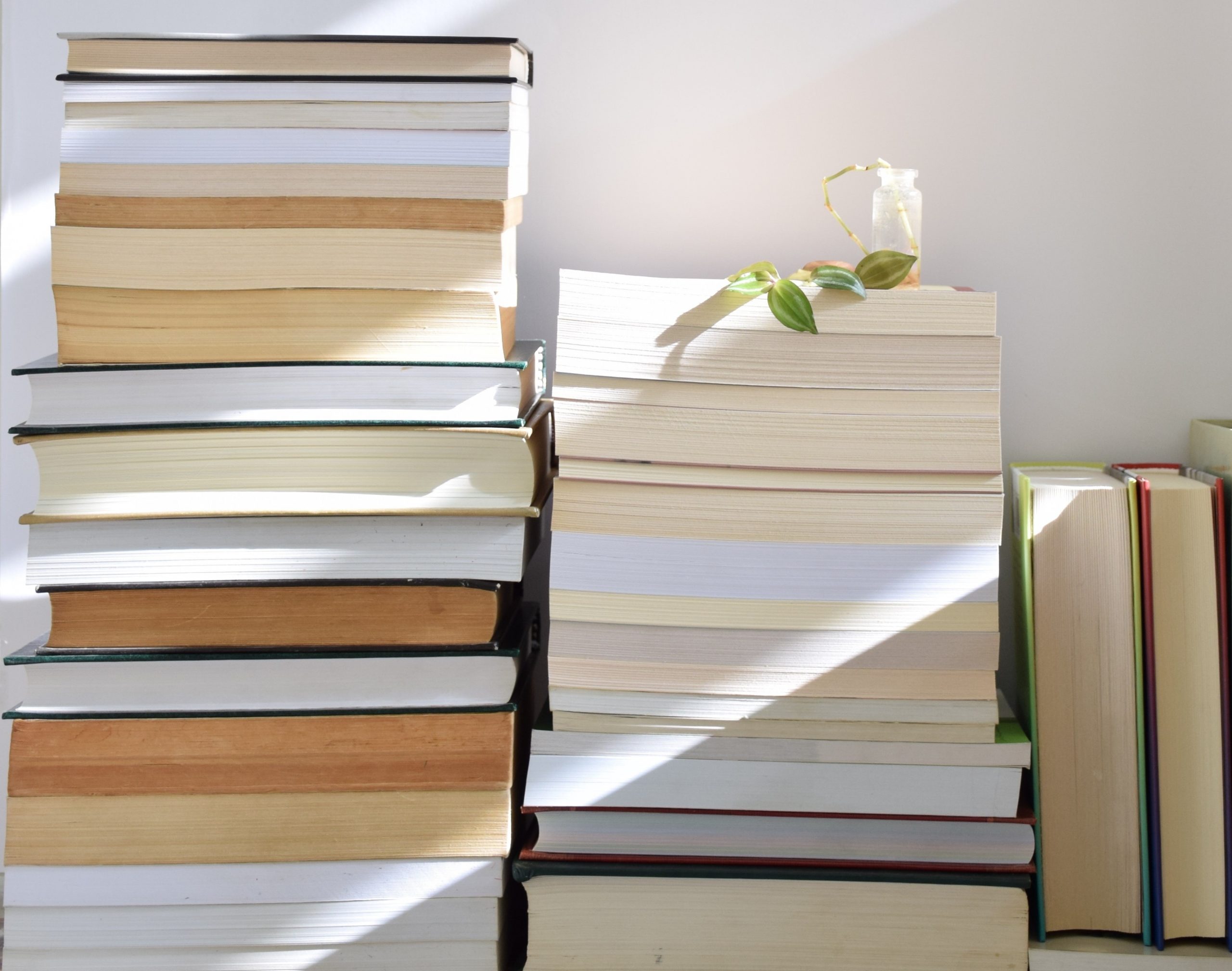 books-for-introvertarea.com